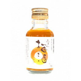 Sake Unshu Umeshu 100 ml