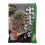 Fideos Izumo Soba 200 g